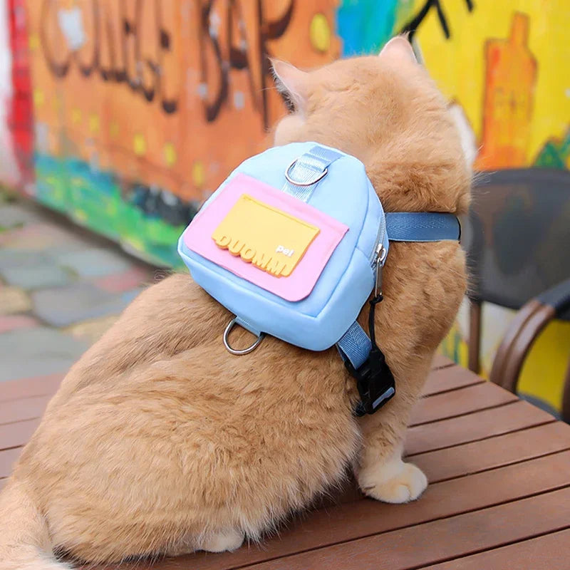 Adventure: Pet Backpack & Leash